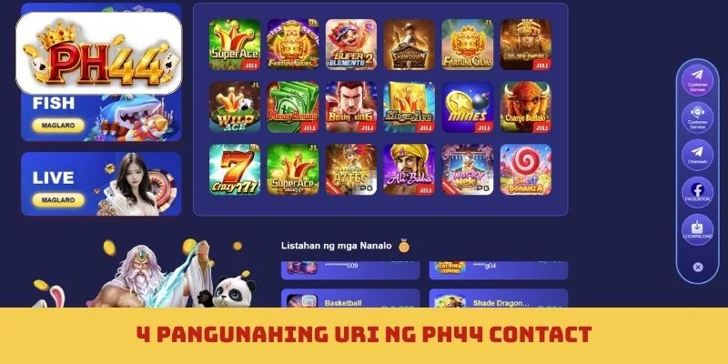 4 na pangunahing uri ng PH44 contact