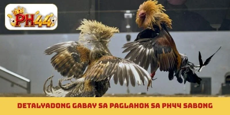 Detalyadong gabay sa paglahok sa PH44 sabong