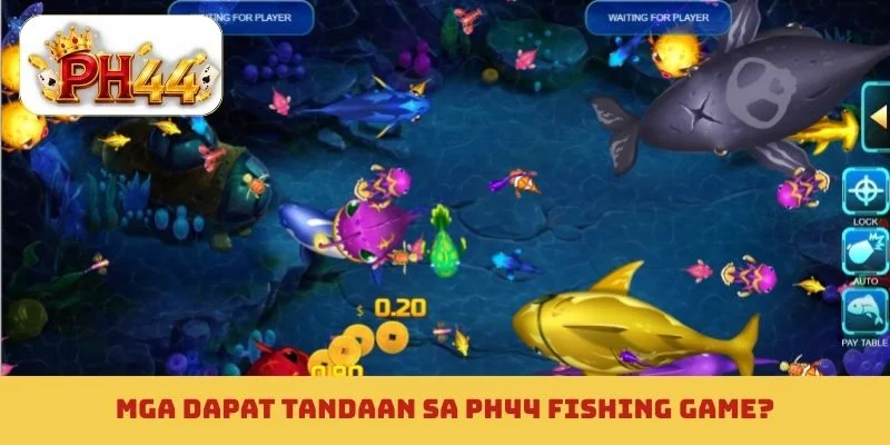 Mga dapat tandaan sa PH44 fishing game?