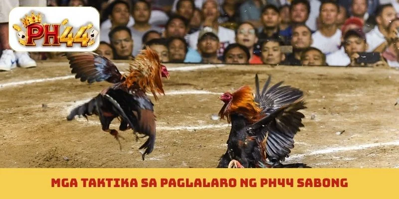 Mga taktika sa paglalaro ng PH44 sabong